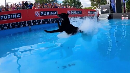 体育商业联盟管理